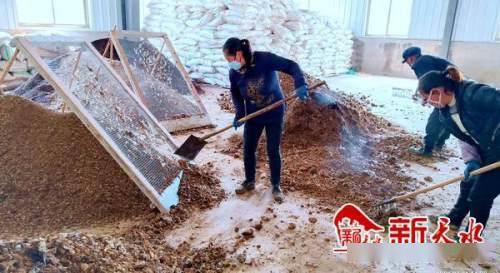 沃土富民路，生態(tài)高橋村 發(fā)展有機(jī)肥料產(chǎn)業(yè)，書(shū)寫鄉(xiāng)村振興新篇章